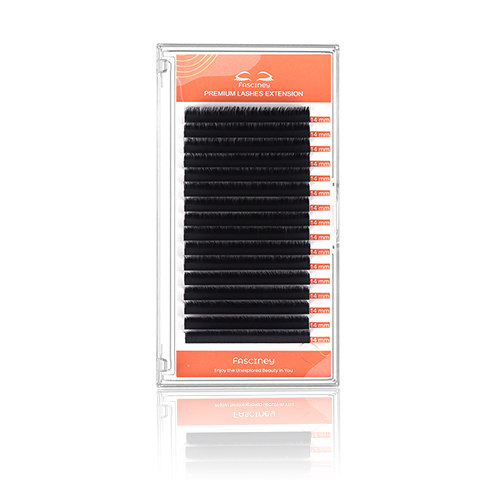Volume Lash Extension