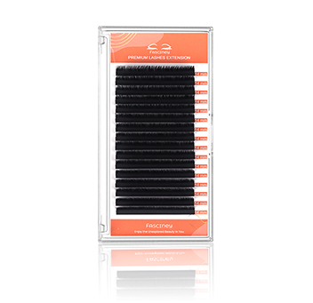 Volume Lash Extension