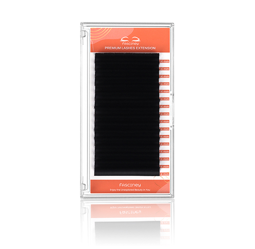 Easy Fans Lash