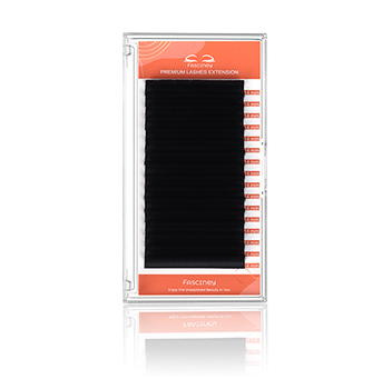Easy Fans Lash